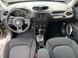 
RENEGADE 1.8 16V SPORT – 2020 completo									