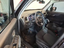 
RENEGADE 1.8 16V – 2020 completo									