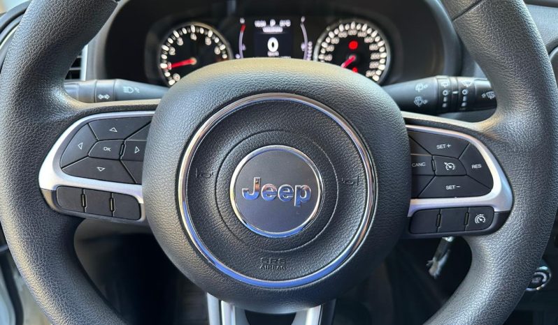 
RENEGADE 1.8 – 2019 completo									