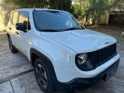 
RENEGADE 1.8 – 2019 completo									