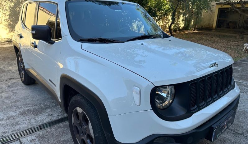 
RENEGADE 1.8 – 2019 completo									