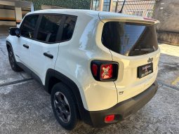 
RENEGADE 1.8 – 2019 completo									