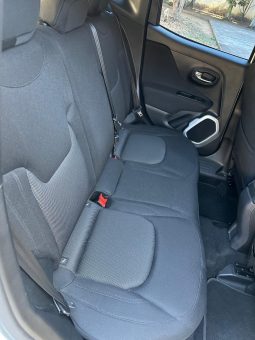 
RENEGADE 1.8 – 2019 completo									
